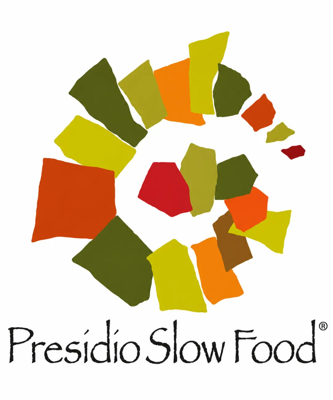 Stracchino stagionato all’antica presidio slow food