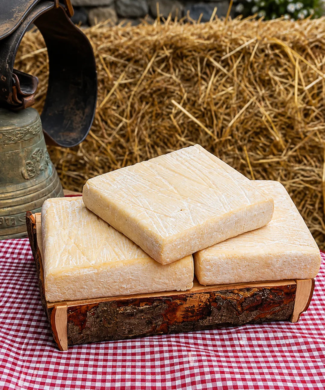 Stracchino Fresco all'Antica Presidio Slow Food